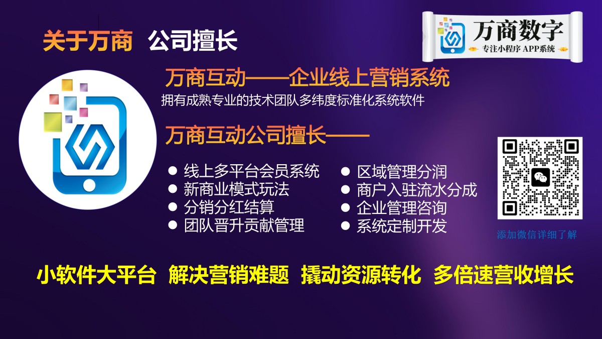 万商数字 中小企业线上营销整体解决方案领军服务商PPT_13.jpg