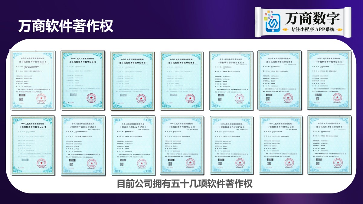 万商数字 中小企业线上营销整体解决方案领军服务商PPT_11.jpg
